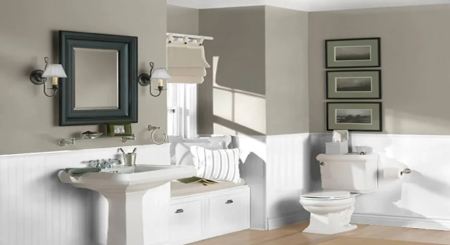 Bathroom House Painting Interior