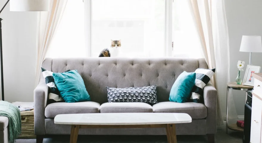 Sofa with Blue Pillows
